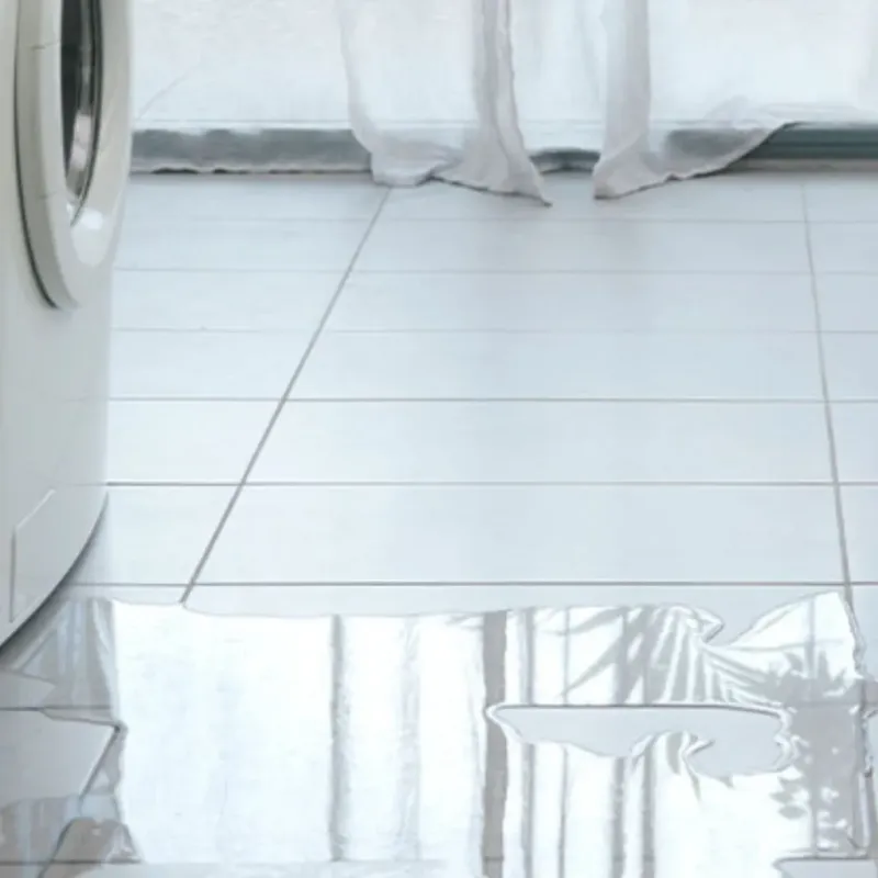 Appliance Leak Cleanup in Fountain, CO