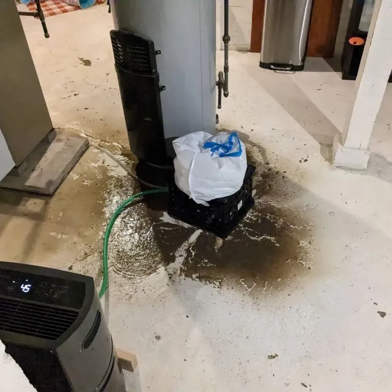 Sewage Backup Cleanup Service in Fountain, CO